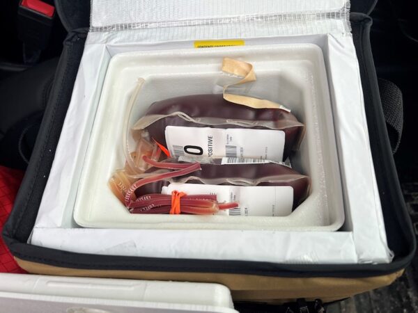two bags of blood stored in a cooler